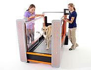 Unveiling “The Oasis”: Revolutionizing Canine Fitness with the Ultimate Underwater Treadmill for Dogs – H2O For Fitness