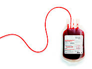 Blood Transfusion System - Netbloodbank