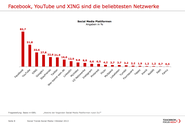Wie schlagen sich Google+, Twitter, Instagram und Co. in Deutschland?