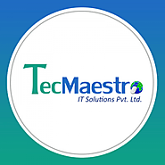 TecMaestro IT Solutions | e27 Startup