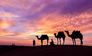 Book Desert Safari Tour Packages Online with Dubai Private Tour