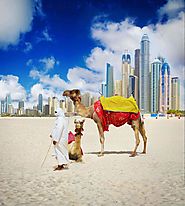 Book Your Desert Safari Tour by Private Car with Dubai Private Tour