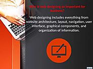 Web Designing Company in Calicut Kerala- Why Need to Choose the Best Team