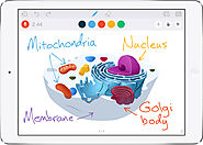 Features | Educreations