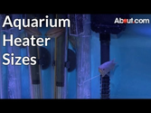 What's The Best Aquarium Heater? via @Flashissue