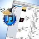 Organize iTunes In Minutes - Automatically Start Organizing Now!