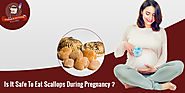 Can Pregnant Women Eat Scallops?
