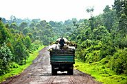COP23: l'accord de Paris passe par les tourbières du Congo