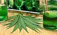 CBD Oil – How does Medicinal Cannabis oil work? | CBD Oil