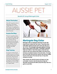Are whippet dog collars functional (article)