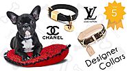 The best 5 designer pet collars made by famous brands like Louis Vuitton
