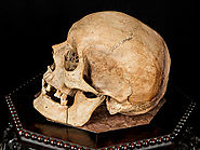 Who would buy a real human skull, and why?