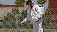 5 Questions to Ask a Pest Control Treatment Solution Provider