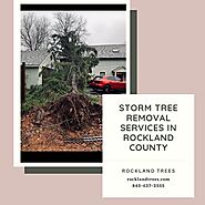 Storm Tree Removal Services in Rockland County