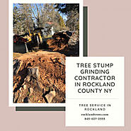 Tree Stump Grinding Contractor in Rockland County NY