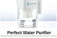 Perfect Water Purifier Reviews | TipsHire