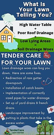Get Lawn Drainage Solutions That Work