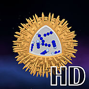 Science - Microcosm 3D HD : Bacteria, viruses, atoms, molecules and particles
