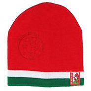 Buy Welsh Rugby Beanies Hat Online