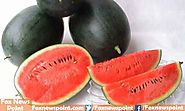 Top 10 Most Expensive Fruits In The World 2017