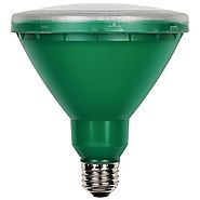 Westinghouse 0314900 15W PAR38 LED Outdoor Bulb, Flood Green E26 (Medium) Base, 120V, Box