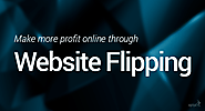 Make More Profit Online With Website Flipping - Agriya