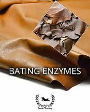 Bating Enzymes