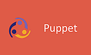 Puppet Training Online With Live Projects And Job Assistance