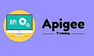 Apigee Training Online With Live Projects And Job Assistance