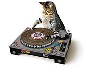 SUCK UK Cat Scratching DJ Deck