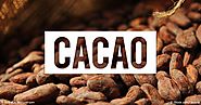 What Is Cacao Good For? - Mercola.com