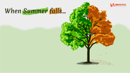 Summer falls