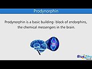 Prodynorphin ( Blue Sky Peptide )