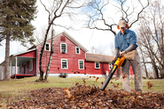 Which Leaf Blower Is the Best?