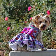 Purple and Red Floral dog dress