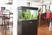 The Fluval Accent Aquarium and Cabinet Combo