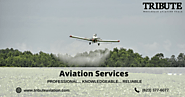 Tribute Aviation Services