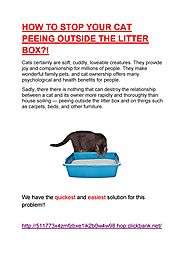 VET Reveals How to Stop Your Cat Peeing Outside the Litter Box PERMANENTLY!