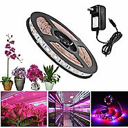 ALight House LED Plant Grow Strip Light 3.3feet Full Spectrum SMD 5050 Red Blue 4:1 Rope Light with Power Adapter for...