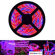 iNextStation LED Plant Grow Strip Light 16.4ft 5M Full Spectrum SMD 5050 Red Blue 5:1 Rope Light for Greenhouse Hydro...