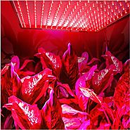 Top 10 Best All Red Spectrum LED Grow Lights Reviews 2017-2018 on Flipboard