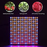 Top 10 Best Red and Blue LED Lights for Plant Growing Reviews 2017-2018 on Flipboard