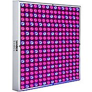 LED Grow Light for Red Blue Indoor Plant Lights and Hydroponic Full Spectrum SANSUN Plant Grow Light