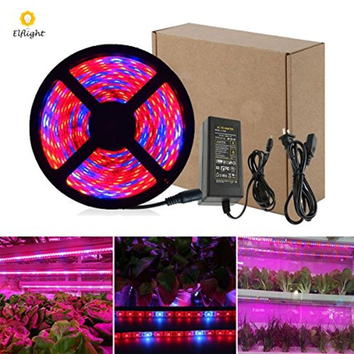 Top 10 Best Red and Blue LED Lights for Plant Growing A