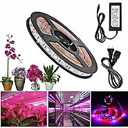 Lahoku LED Plant Grow Strip Light 16.4feet Full Spectrum SMD 5050 Red Blue 4:1 Rope Light with Power Adapter for Gree...