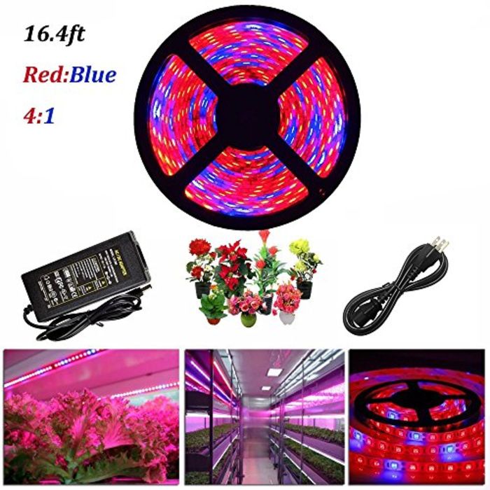 Top 10 Best Red and Blue LED Lights for Plant Growing A Top 10 Best Red and Blue LED Lights for Plant Growing A