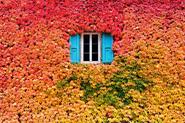 13 Stunning Pictures Celebrating The Beautiful Colors Of Fall