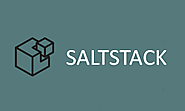 SaltStack Training Designed By Industry Experts