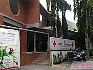 wellspring hospital bangalore