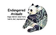 Year 7 English Endangered Animals | Listly List